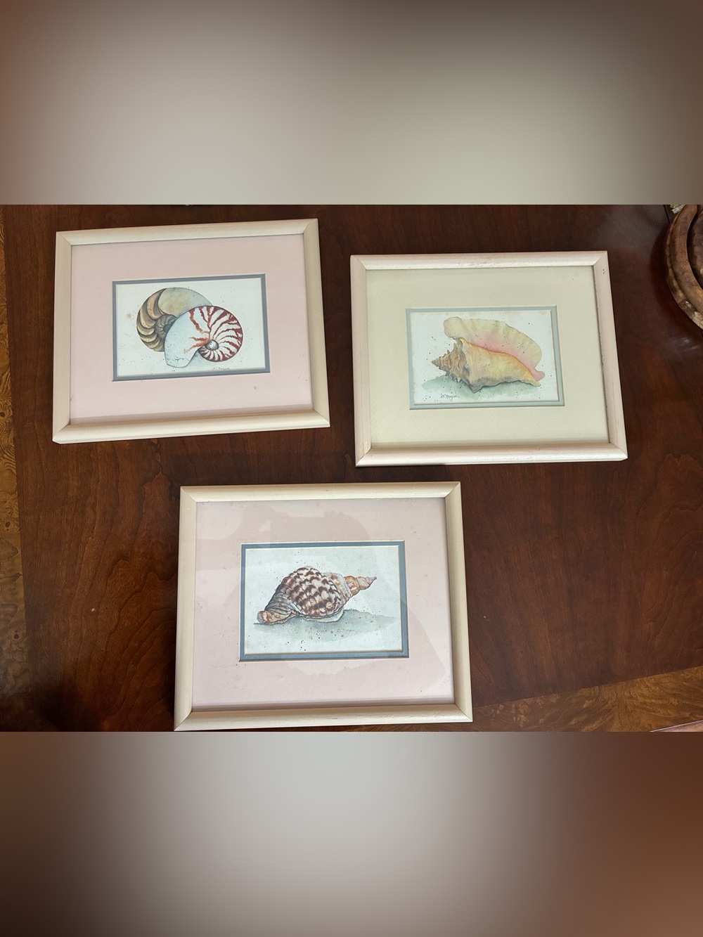 D. Morgan Nautical Decor - Set of 3 Framed Seashell Watercolor Prints